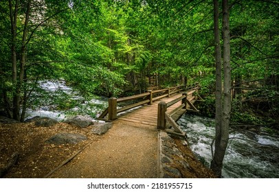 Wooden bridge across the river in the green forest. Bridge in forest. Forest bridge way. Wooden bridge in deep forest - Shutterstock ID 2181955715
