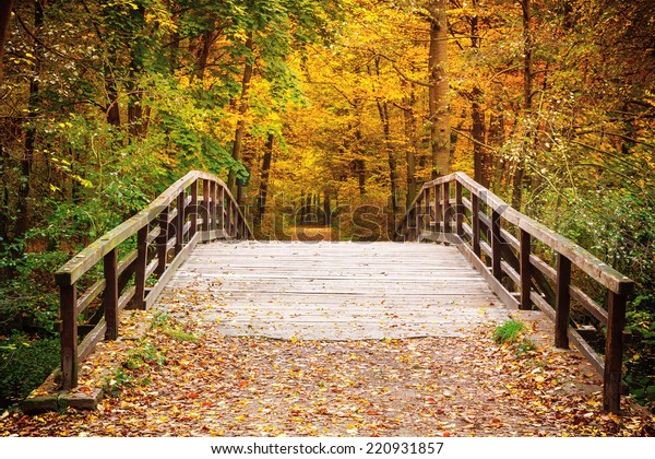 Wooden Bridge Autumn Forest Stock Photo (Edit Now) 220931857