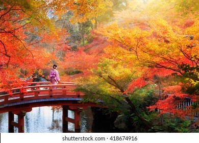 Wooden bridge in the autumn park, Japan autumn season, Kyoto Japan