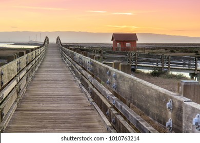 National Wildlife Refuge Temaju Kepek Stockfotok Es Vektorkepek