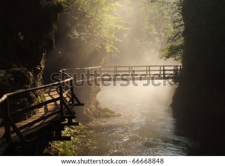 Wooden bridge during sunny morning in the Vintgar gorge, Slovenia
