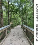 Wooden bridge entrance to hiking trails at Ponce de Leon Springs State Park Florida