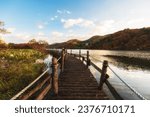 wooden bridge famous scenery autumn in Nami Island best popular tourist attractions at Chuncheon-si, Gangwon-do, South Korea.