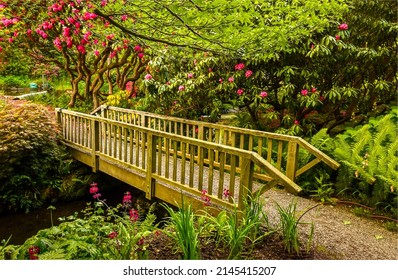Wooden bridge in the garden. Garden bridge way. Bridge in amazing garden. Garden bridge view - Shutterstock ID 2145415207
