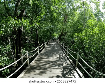 Wooden bridge to get to tourist attractions - Powered by Shutterstock