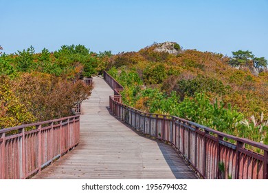 Wooden Bridge At Geumjeongsan Mountain In Busan, Republic Of Korea