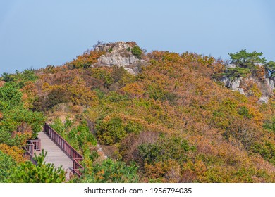 Wooden Bridge At Geumjeongsan Mountain In Busan, Republic Of Korea