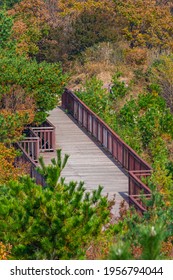 Wooden Bridge At Geumjeongsan Mountain In Busan, Republic Of Korea