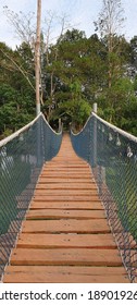 Wooden Bridge With Green Net