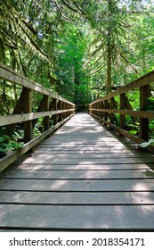 Wooden bridge in a grove of old growth forest in Cathedral Grove, on Vancouver Island, British Columbia. 