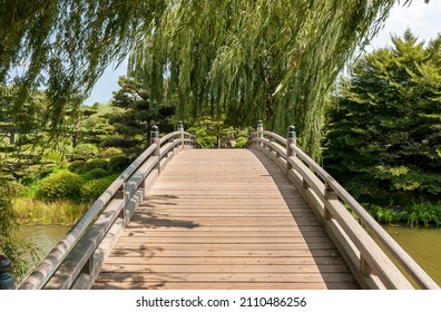 Wooden Bridge To The Japanese Island In The Chicago Botanic Garden, USA