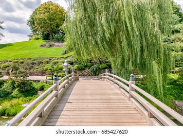 Wooden Bridge To The Japanese Island In The Chicago Botanic Garden, USA