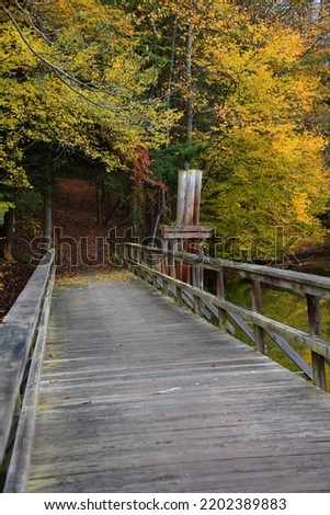 Wooden bridge leads to a hiking trail called Slagle Holow Knob Trail, Steele Creek Park, Bristol, Tennessee.  Golden Fall leaves beckon further exploration