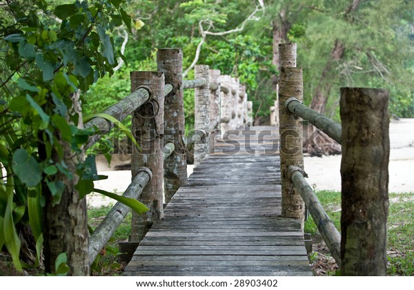  Wooden\
bridge in  malaysia jungle.\
Landscape.