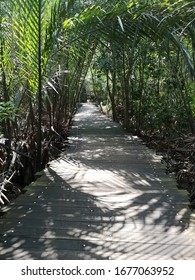 Wooden Bridge On The Coastal Area Of Check Java Wetlands In Pulau Ubin Island Of Singapore 