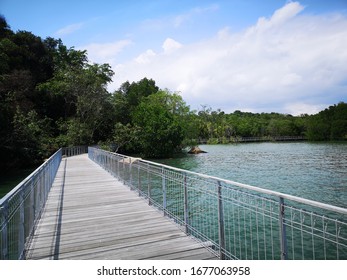 Wooden Bridge On The Coastal Area Of Check Java Wetlands In Pulau Ubin Island Of Singapore 