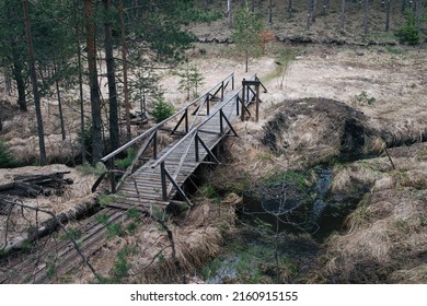 Wooden bridge over forest brook on Tara Mountain, Serbia