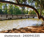 wooden bridge over the lake surrounded by lush green trees and deep green water, blue sky and clouds at Lake Evans at Fairmount Park in Riverside California USA