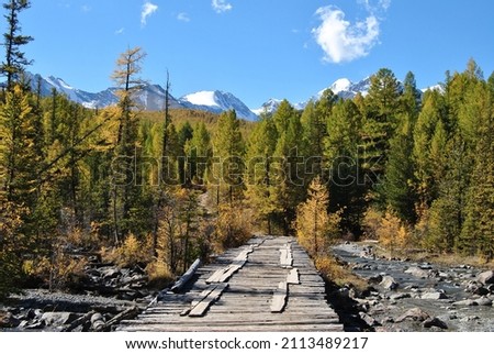 Wooden bridge over the mountain river in Altai. Beautiful mountain autumn landscape of Altai. Aktru, snow-white mountains, autumn larches, autumn taiga.  Altai Mountains.