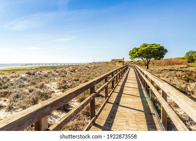 Wooden bridge over sand dunes of Ria Formosa Natural Reserve in Olhao, Algarve, Portugal
