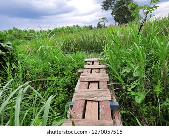 A wooden bridge over small river that connects two rice fields