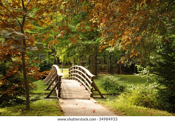 Wooden Bridge Over Stream First Autumn Stock Photo 34984933 | Shutterstock