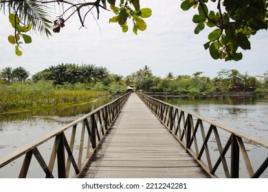 A wooden bridge over a tropical lagoon at the famous Praia do Forte in northeastern Brazil