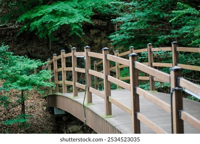 wooden bridge in the park - Powered by Shutterstock