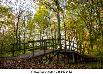 A wooden bridge in the park with and autumn colors of South Holland