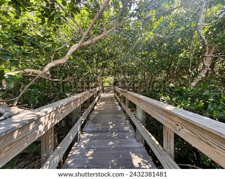 Wooden bridge in the park, path to the infinity of the forest, entering nature, a bridge to hope and the unknown, but naturally beautiful