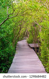 Wooden Bridge. The Path Of Exploring Nature.