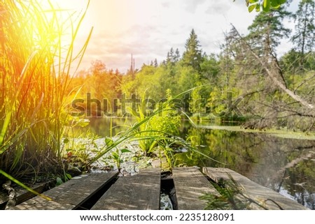 wooden bridge at the pond in the deep forest
