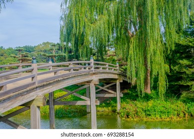 Wooden Bridge Sideview With Trees