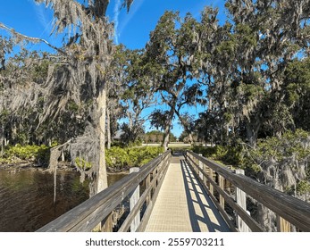 A wooden bridge stretches over calm water, surrounded by trees draped in Spanish moss, leading into a lush landscape under a bright blue sky on a clear, sunny day. - Powered by Shutterstock