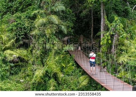 Wooden bridge surrounded by vegetation in Khao Yai National Park, Thailand