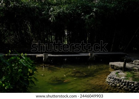 A wooden bridge trail runs over ponds in the park next to a bamboo grove. Japanese Garden in Botanical Garden Jevremovac , Belgrade- Serbia