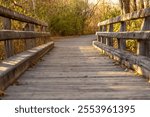 Wooden Bridge trail in the woods