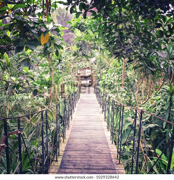 Wooden\
bridge with tropical trees.  Bali Bird\
Park.