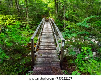 Wooden Bridge In Vermont Forest - Appalachian Trail