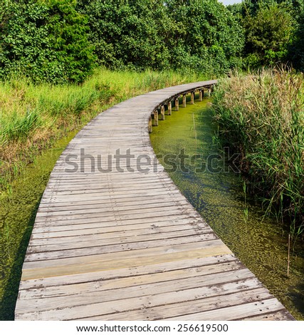 Wooden bridge for walk