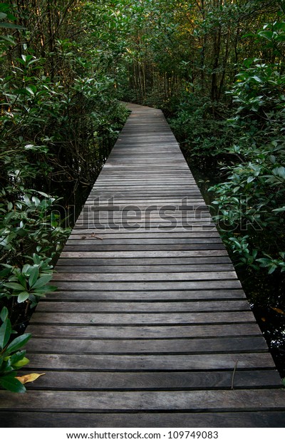 Wooden bridge for\
walk in the mangrove\
forest