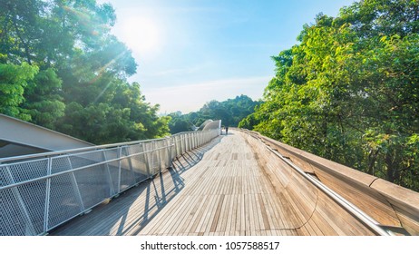 Wooden Bridge Walkway With Shadow Of Steel Structure From Sunlight With Forest Tree Green Field And Blue Sky White Cloud