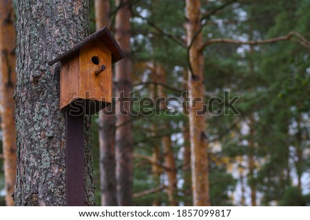 Wooden brown birdhouse on a trunk of a tree in the park. A house for the birds. Bird feeder. Copy space