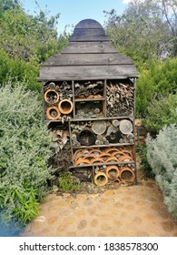 Wooden Bug Hotel: 5 Woods