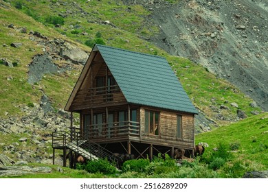 Wooden cabin with grazing horses on hillside
Rustic wooden cabin nestled on a green hillside with grazing horses, surrounded by rocky terrain and natural scenery.
 - Powered by Shutterstock