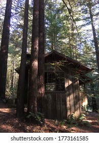 Wooden Cabin In Redwood Trees In The  Woodlands Of Mendocino National Forest, California