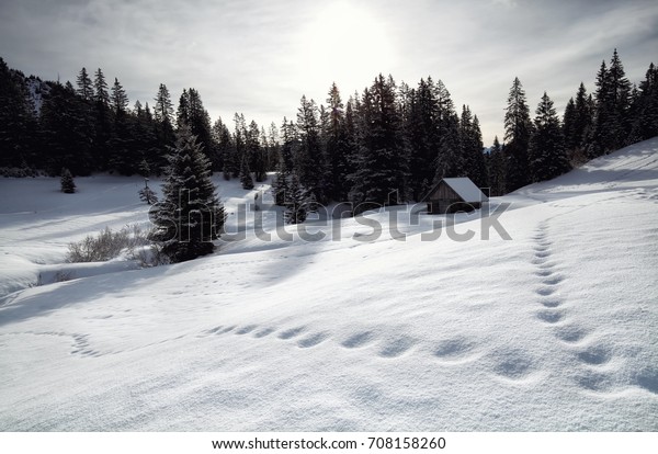 Wooden Cabin Snowy Alpine Hills Allgau Stock Photo Edit Now