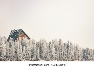Wooden Cabin Winter Forest Landscape Snowy Weather Season Time Neutral Sky Background, Copy Space 