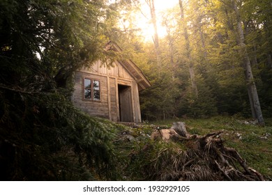 Wooden cabin in the woods at Tara mountain in Serbia
