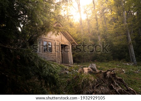 Wooden cabin in the woods at Tara mountain in Serbia
